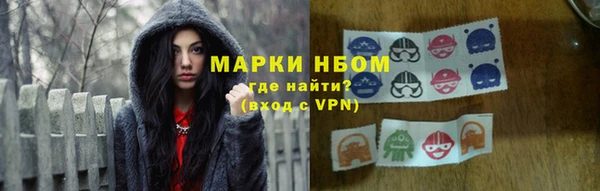 сатива Аркадак